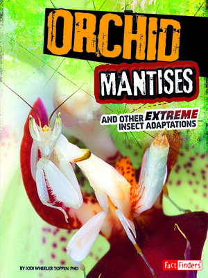 cover image of Orchid Mantises and Other Extreme Insect Adaptations